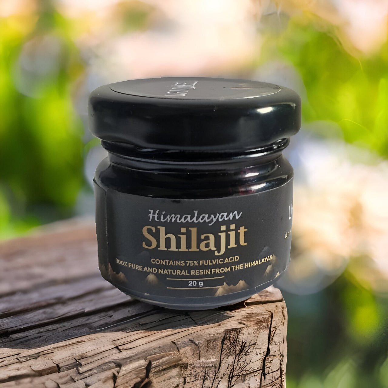 Pure Himalayan Shilajit Resin Gold 30Gm